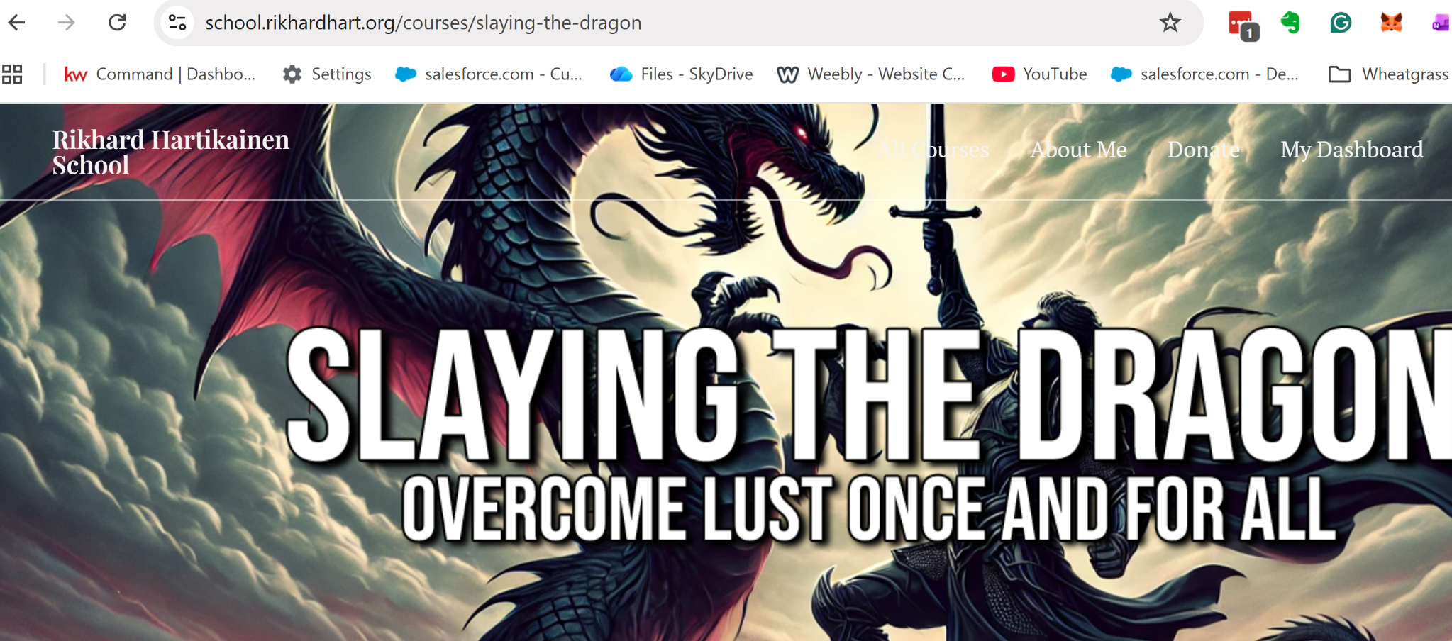 Slaying the Dragon banner artwork